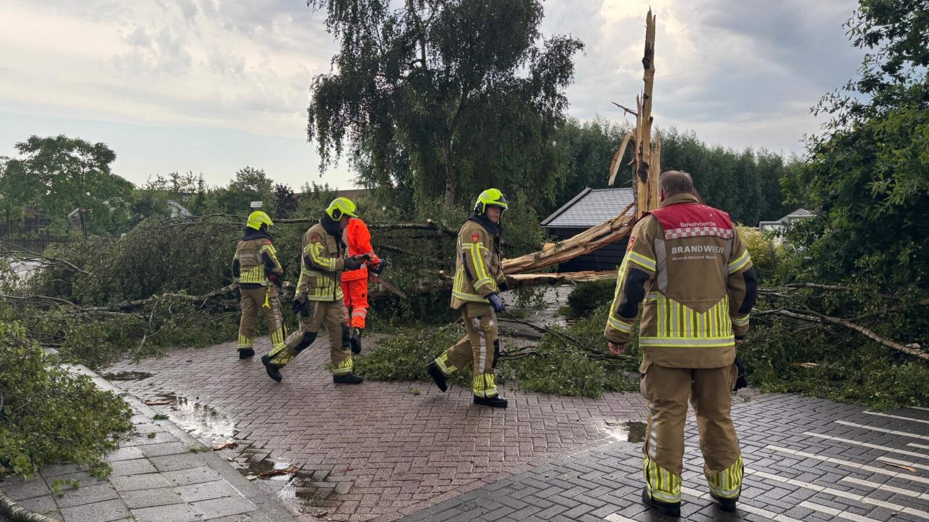 Jeffrey (33) liep door de tuin toen de bliksem in een boom sloeg: ’We zagen het helemaal niet aankomen’